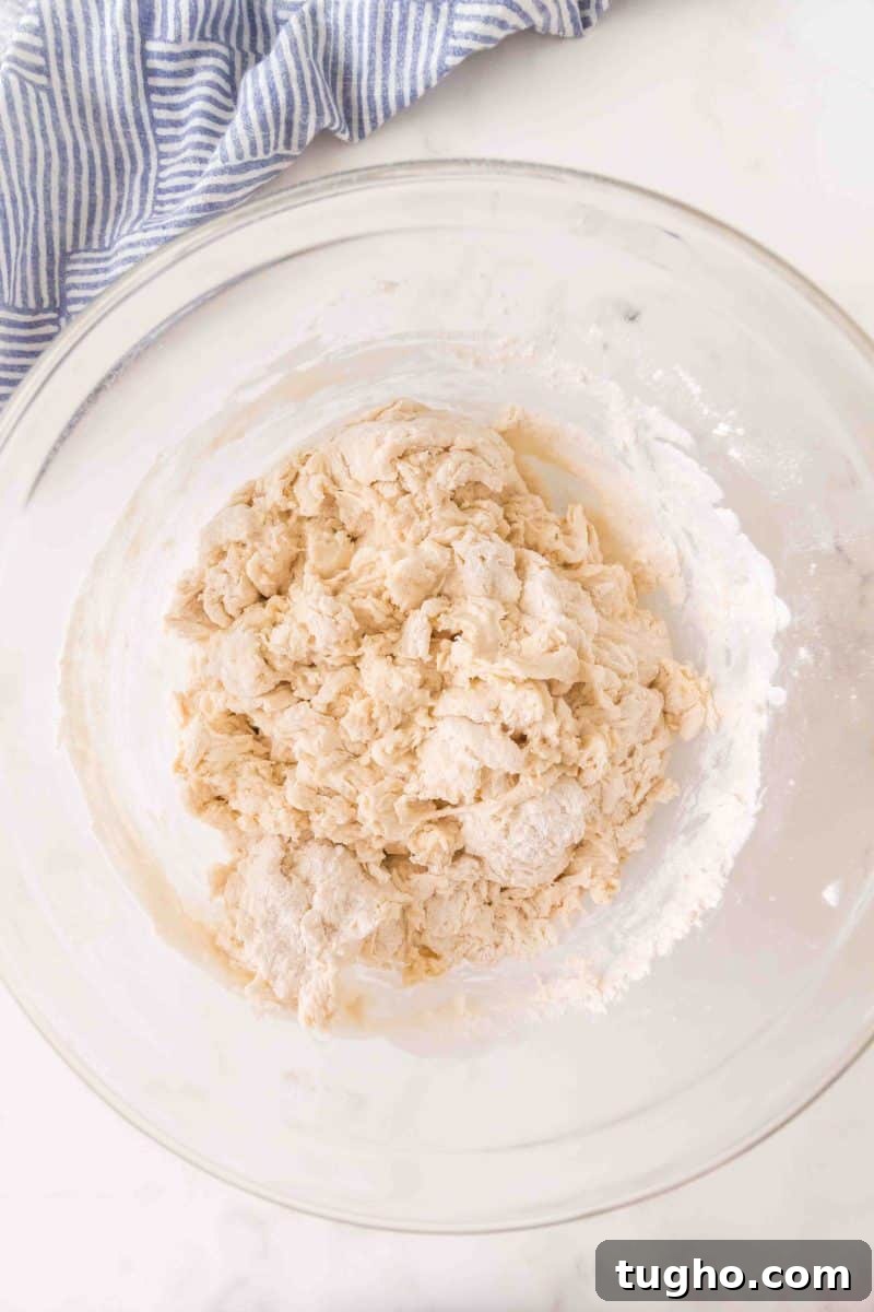 French Baguette Recipe: Make Two Loaves at Home 6 Ball of French bread dough just before kneading in a mixing bowl – Hostess At Heart