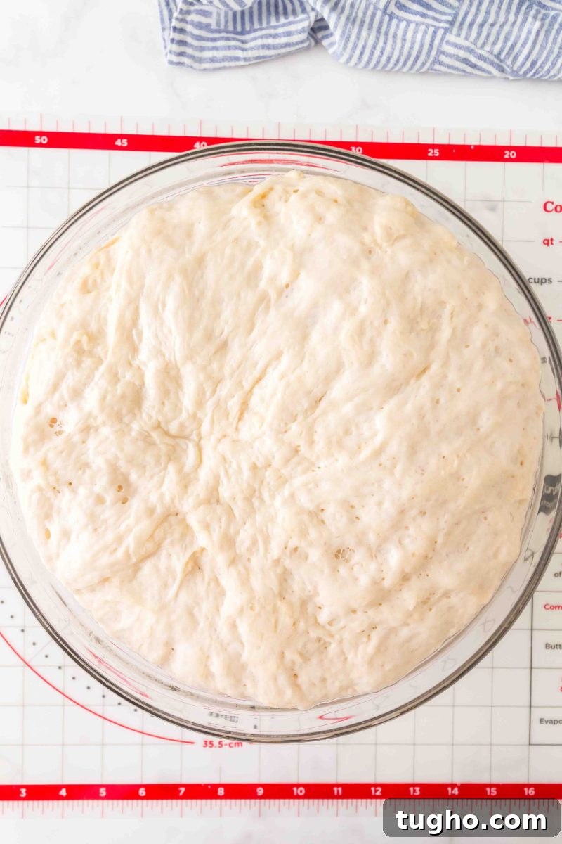 French Baguette Recipe: Make Two Loaves at Home 8 Doubled French bread dough in an oiled bowl after first rise – Hostess At Heart