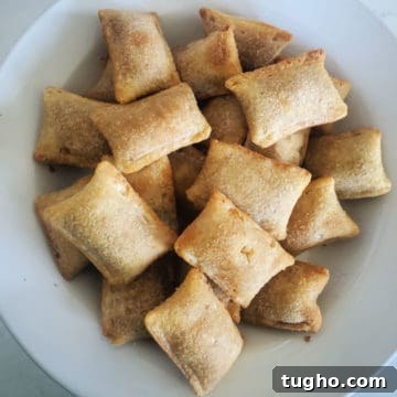 Air Fryer Pizza Rolls on a white plate