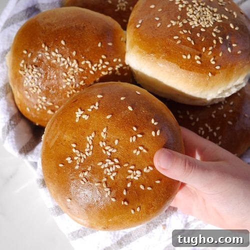 Fluffiest Homemade Hamburger Buns (sourdough discard)
