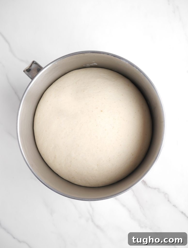 Kneaded dough