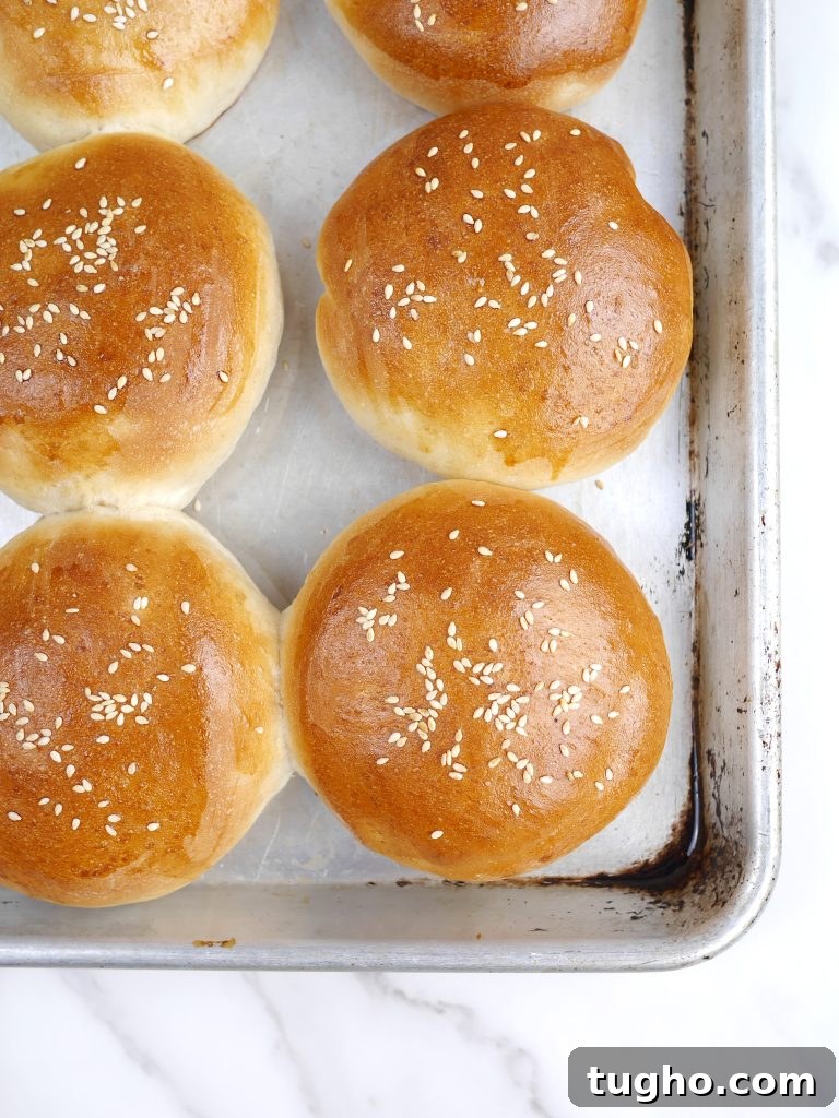 Shaped bun disks on baking sheet