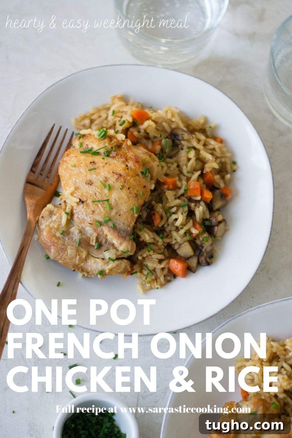 One Pot Meal: French Onion Chicken & Rice | Sarcastic Cooking