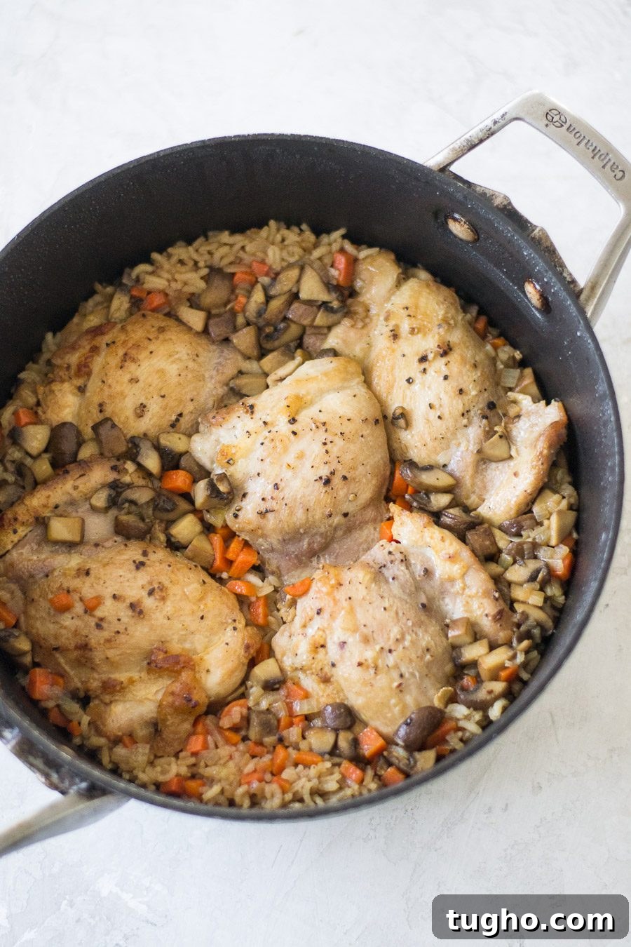 One Pot French Onion Chicken and Rice | Sarcastic Cooking