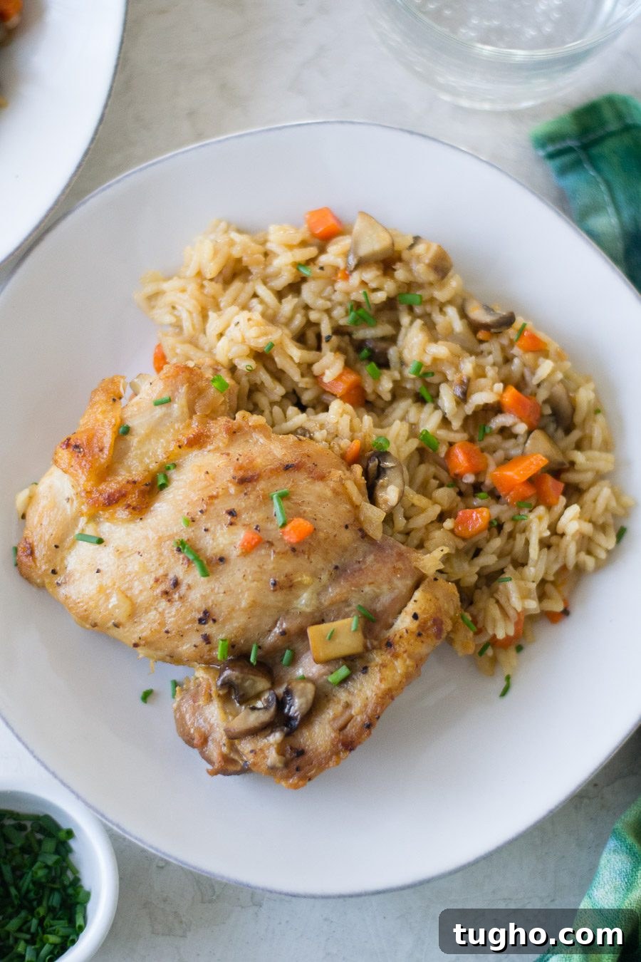 One Pot French Onion Chicken and Rice | Sarcastic Cooking