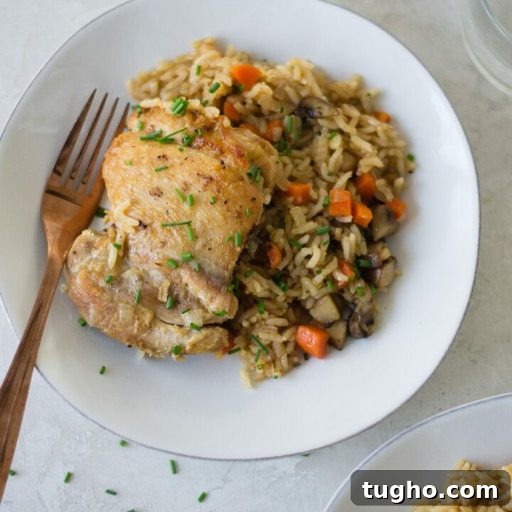 One Pot French Onion Chicken and Rice | Sarcastic Cooking