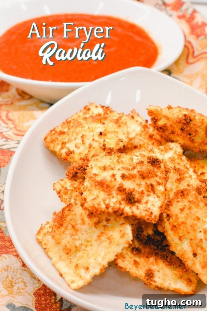 Air Fryer Toasted Ravioli: Crispy Golden Bites in Minutes 8 Assorted air fryer appetizers including toasted ravioli