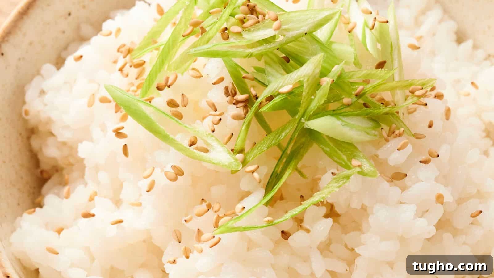 15 Copycat Recipes That Outshine Restaurant Meals 14 A bowl of steamed white rice topped with sliced green onions and sprinkled with sesame seeds.