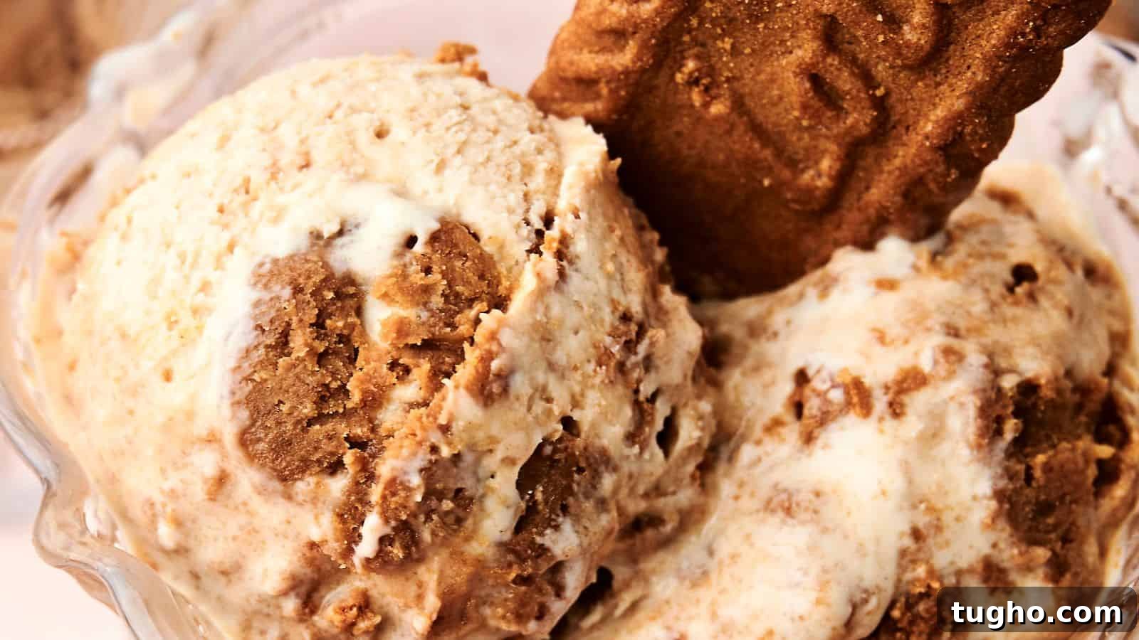 15 Copycat Recipes That Outshine Restaurant Meals 6 Scoops of ice cream with chunks of cookie and a whole cookie piece placed on top in a glass bowl.