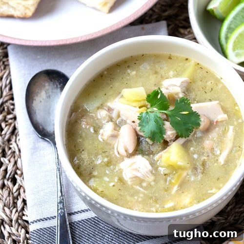 Oven-Baked Sweet and Spicy Chicken Wings Recipe 8 bowl of white chicken chili with an antique spoon next to it