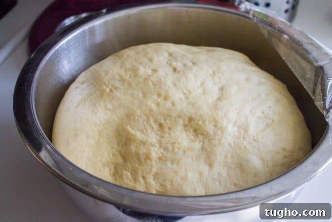 Rising Dough rising donut dough in a metal bowl.