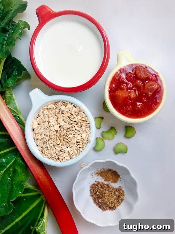 Make-Ahead Rhubarb Overnight Oats 2 ingredients for rhubarb overnight oats