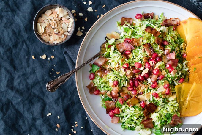 It's delicate shaved sprouts, warm and crispy bacon and bright citrus vinaigrette with toasted almonds. It's delicate shaved sprouts, warm and crispy bacon and bright citrus vinaigrette with toasted almonds.