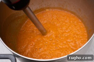 Leftover Turkey Curry with Coconut and Warm Spices 9 Blending curry sauce with a hand held blender in a silver pot
