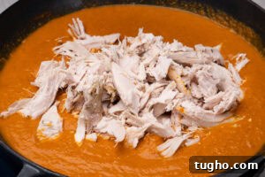 Leftover Turkey Curry with Coconut and Warm Spices 10 Chopped up leftover turkey on top of homemade curry sauce
