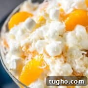 img 17919 3