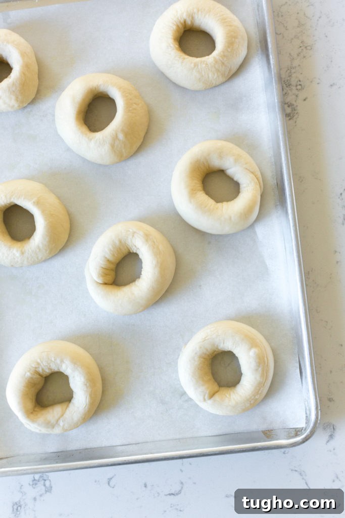 bagels shaped on a baking sheet