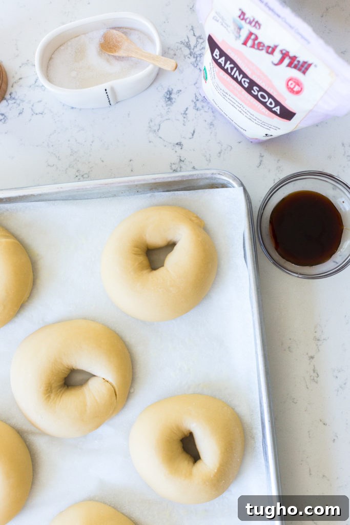 proofed bagels on a baking sheet