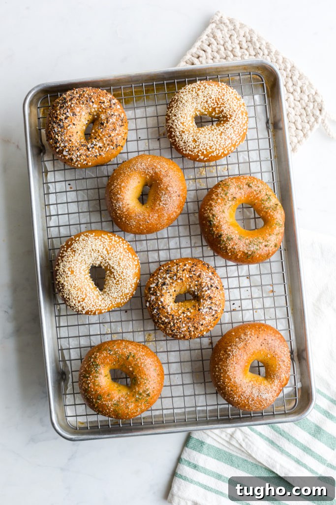 an assortment of bagels cooling on a baking sheet