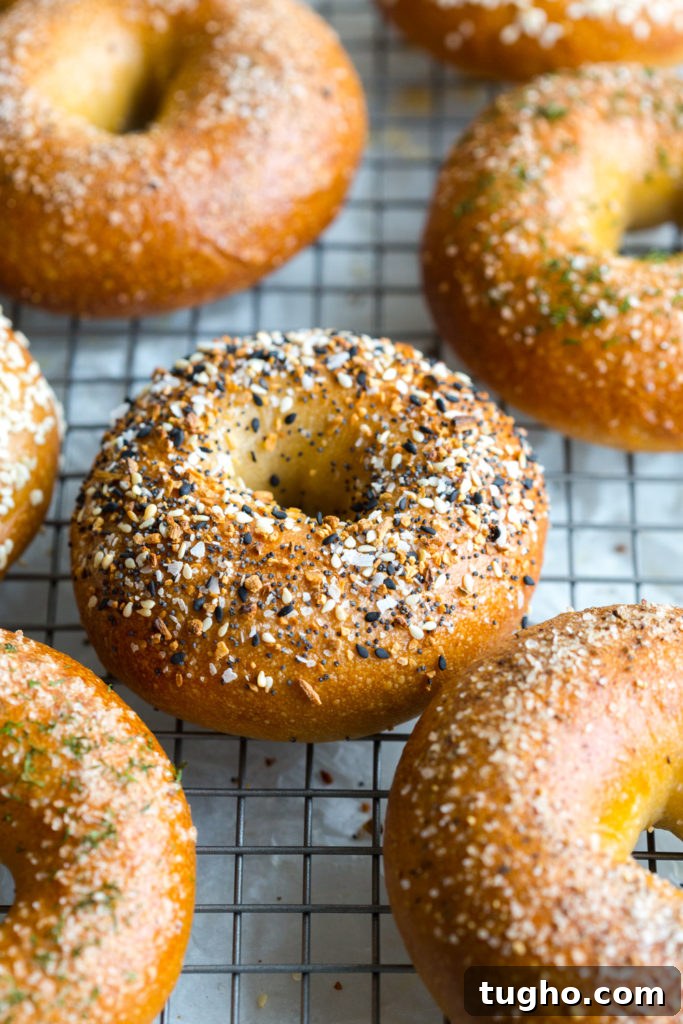Everything Bagels, Salt & Pepper Bagels, Salted Dill Bagels and Sesame Bagels close up cooling on a baking sheet
