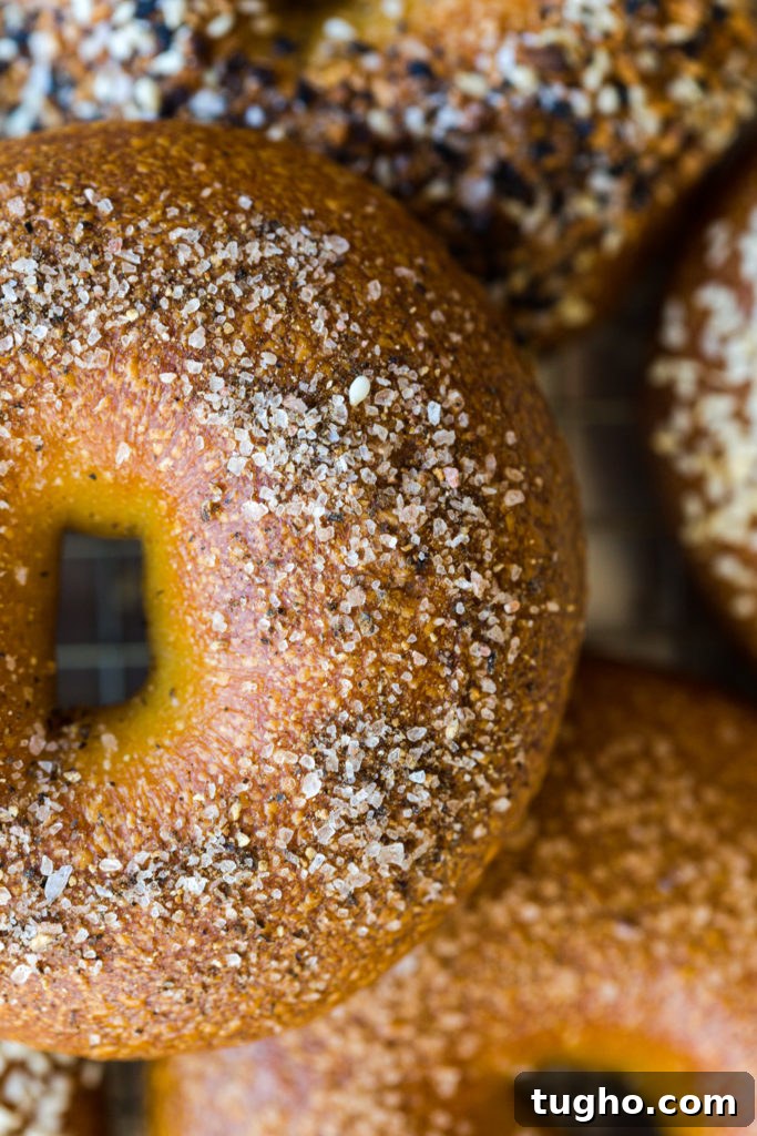 Salt and Pepper Bagels super close up
