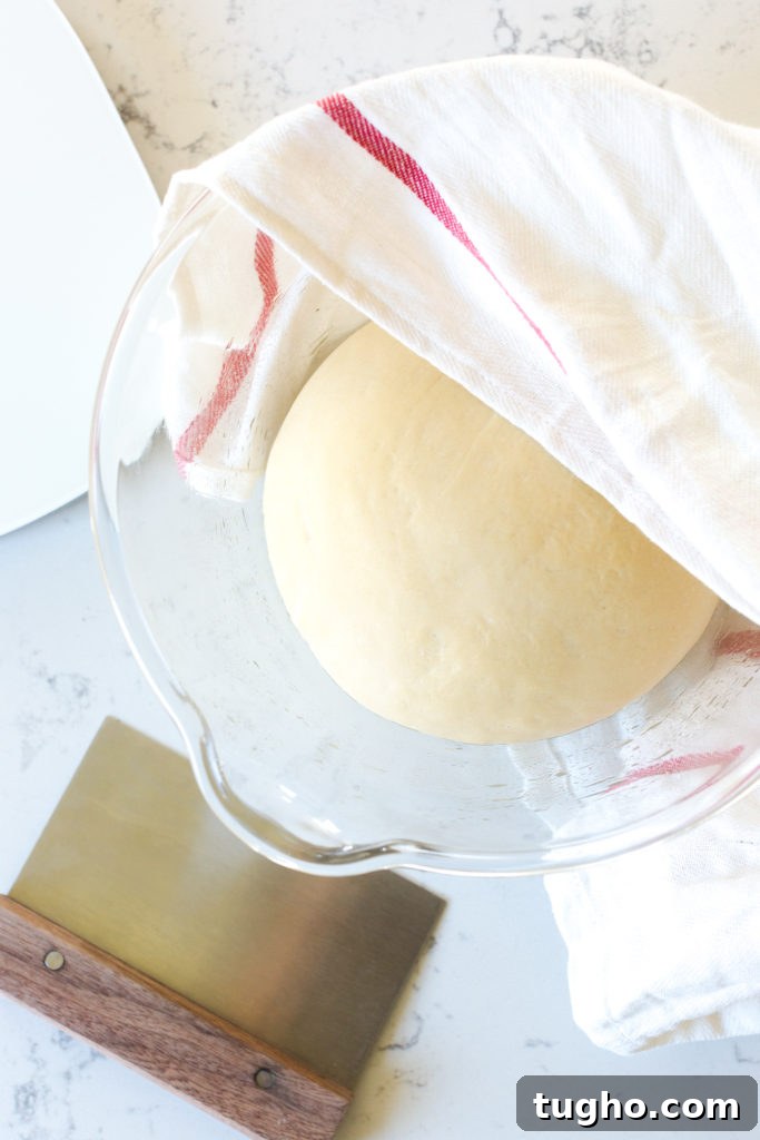 Best Basic Bagels dough proofed