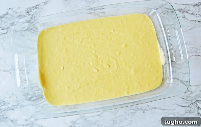 Cake batter in baking pan