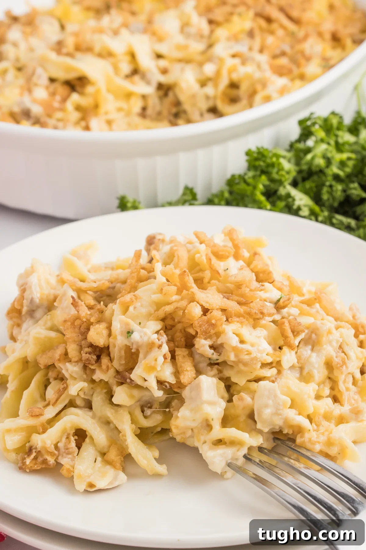 Creamy French Onion Chicken Casserole Recipe 7 A white dinner plate with a serving of French onion chicken casserole. The rest of the casserole is in a baking dish out of focus in the background.