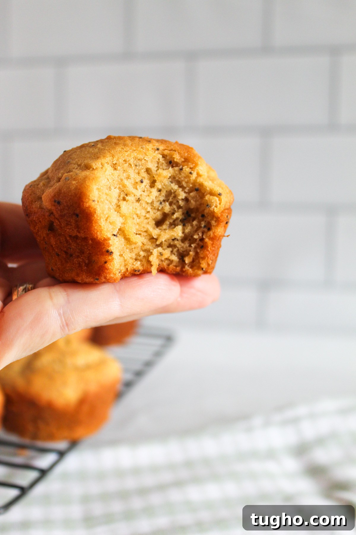 inside of a gluten free lemon poppy seed muffin on a plate 2