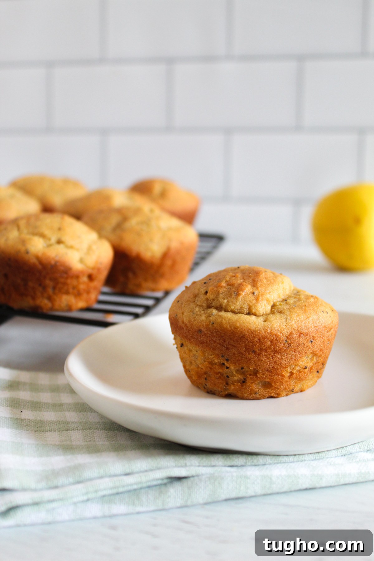 inside of a gluten free lemon poppy seed muffin on a plate 4