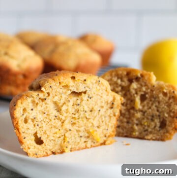 inside of a gluten free lemon poppy seed muffin on a plate 3