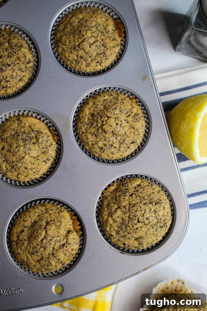 gluten free lemon poppy seed muffins baked in a muffin pan