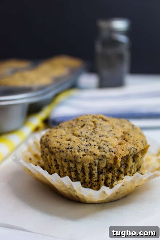 gluten free lemon poppy seed muffins baked