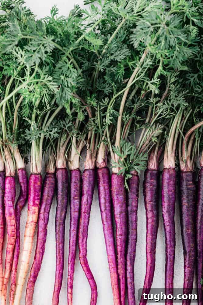 Purple Carrots: The Original Carrot Color Explained 7 img 18422 6