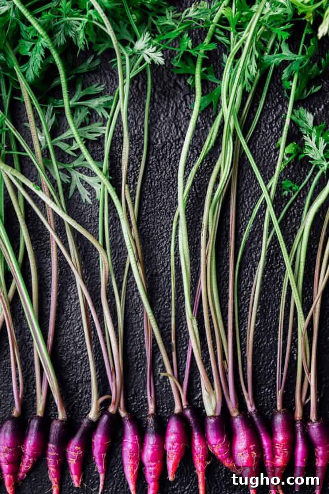 Purple Carrots: The Original Carrot Color Explained 8 img 18422 7
