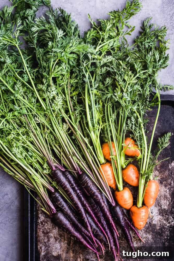 Purple Carrots: The Original Carrot Color Explained 9 purple and orange carrots side by side with leafy tops