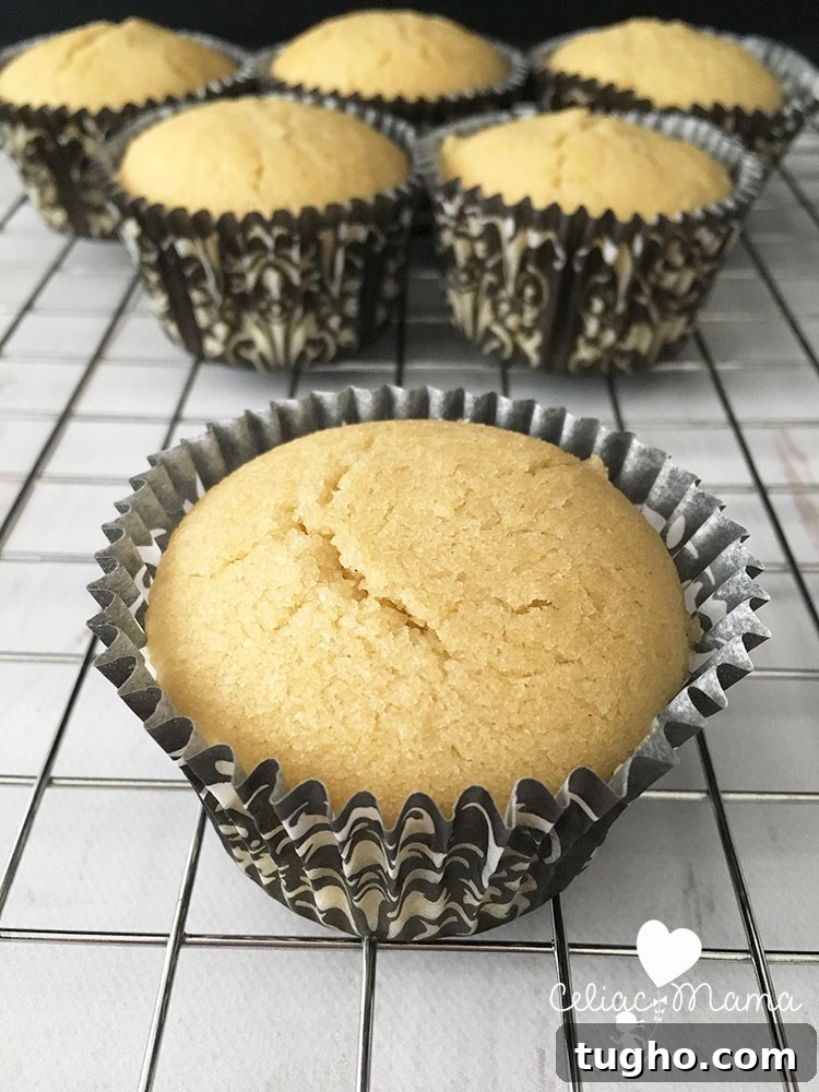 Gluten Free Vanilla Cupcakes Recipe 3 gluten-free-vanilla-cupcakes