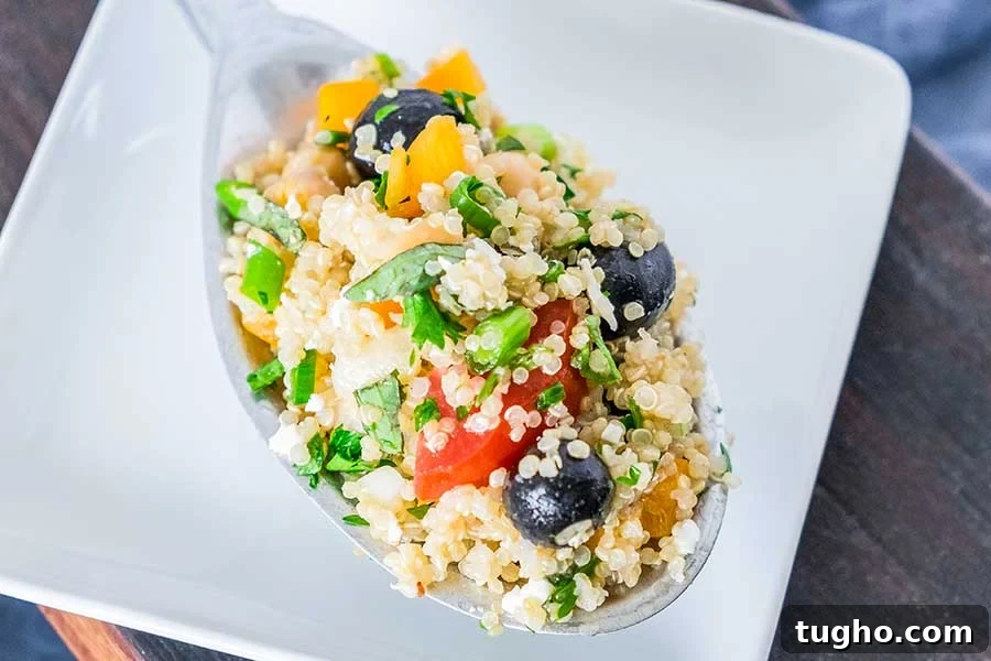 12 Must-Try Gluten-Free Grain Salad Recipes 6 greek quinoa salad with olives, tomatoes and herbs on a large spoon