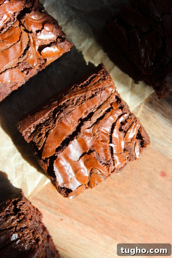 Fudgy Nutella Brownies Recipe for Gooey Chocolate Lovers 10 Brownies ready to store