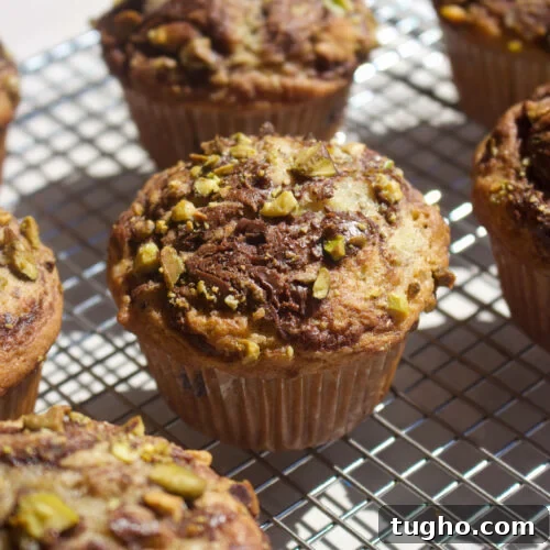 Pistachio Nutella Muffins