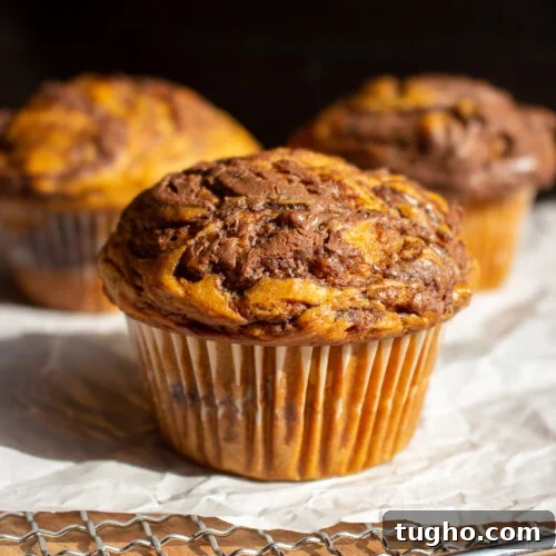 Pumpkin Nutella Muffins