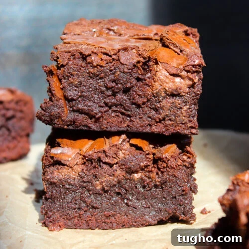 Fudgy Nutella Brownies Recipe for Gooey Chocolate Lovers 15 Fudgy Nutella Brownies
