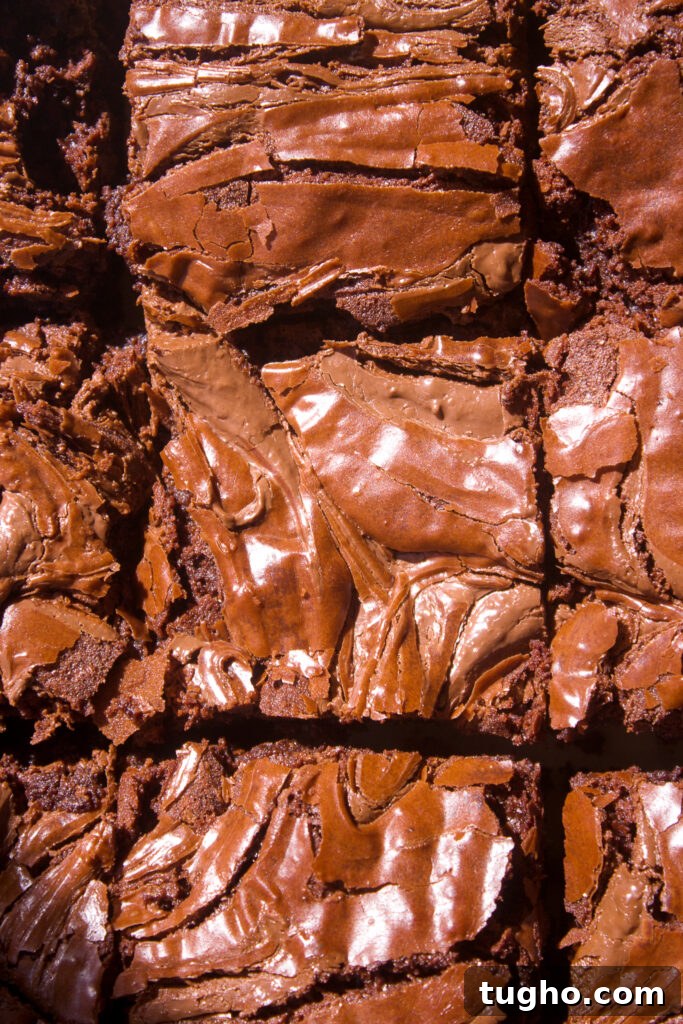Fudgy Nutella Brownies Recipe for Gooey Chocolate Lovers 8 Served Nutella Brownies
