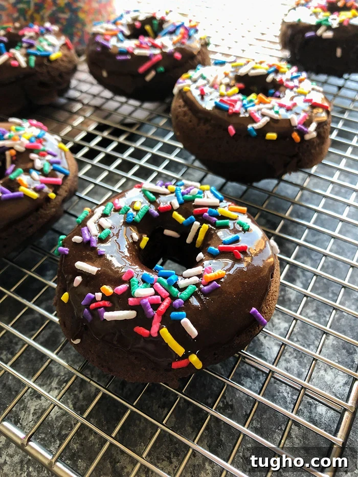 Moist Baked Chocolate Donuts Recipe 8 Baked Chocolate Donuts topped with chocolate frosting and sprinkles.