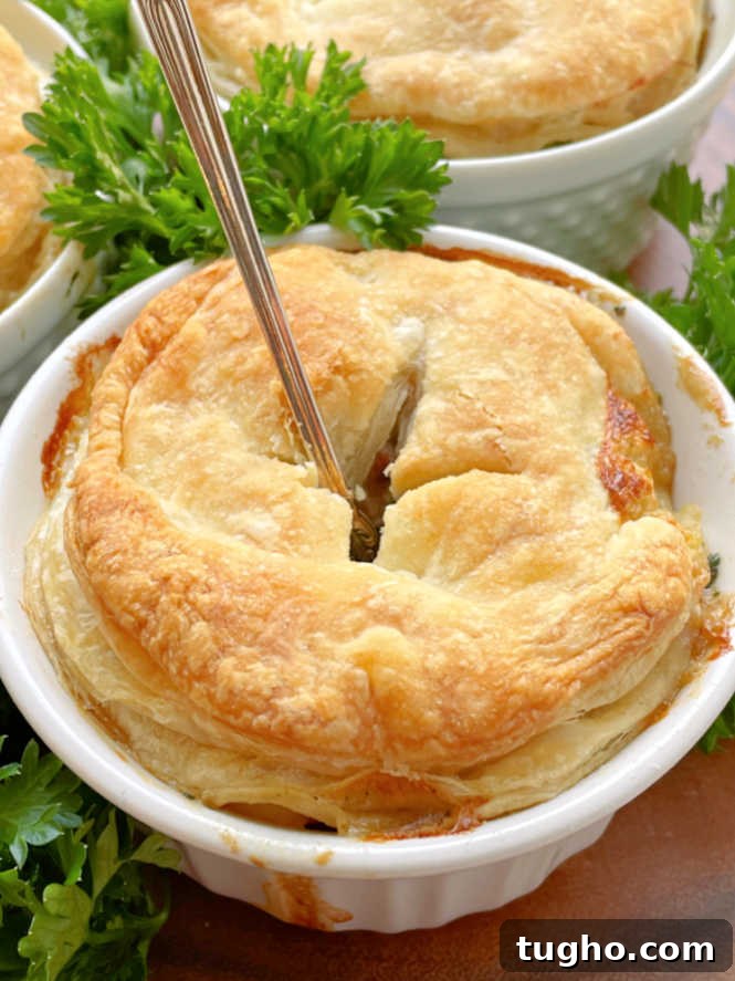 slow cooker steak pie with a fork in it