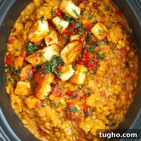 Slow Cooker Chana Saag: Chickpea Curry with Spinach 7 A finished Slow Cooker Dahl recipe topped with paneer and coriander.
