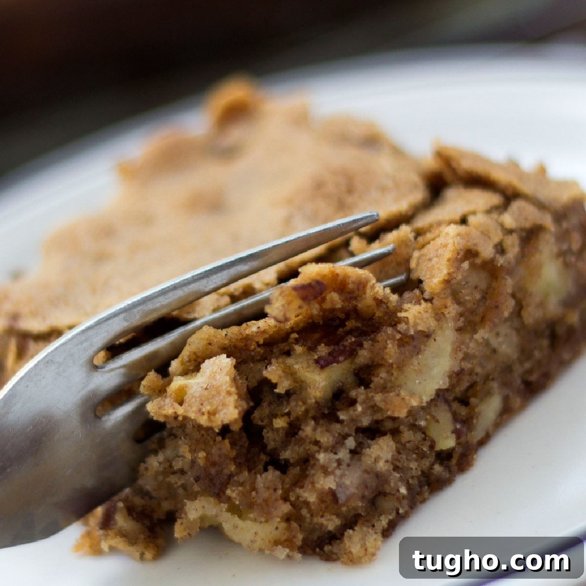 Homemade Apple Walnut Bars Recipe 10 A fork cutting into an Apple Walnut Bar that is crisp on the top and moist on the inside.