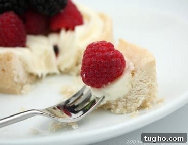 Nana's Cheesecake with a Modern Twist 2 Nana's cheesecake