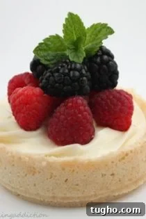 Nana's Cheesecake with a Modern Twist 3 Individual cheesecakes