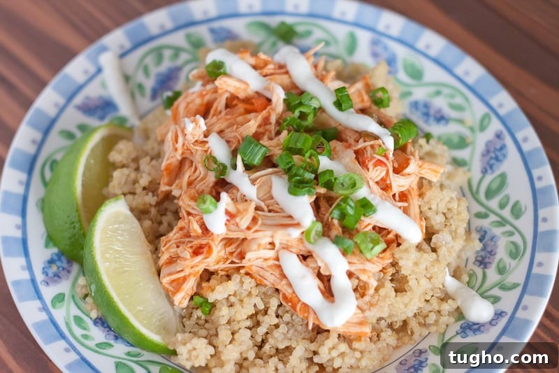 Salsa Chicken Recipe for Instant Pot or Oven 2 Instant Pot Salsa Chicken Recipe